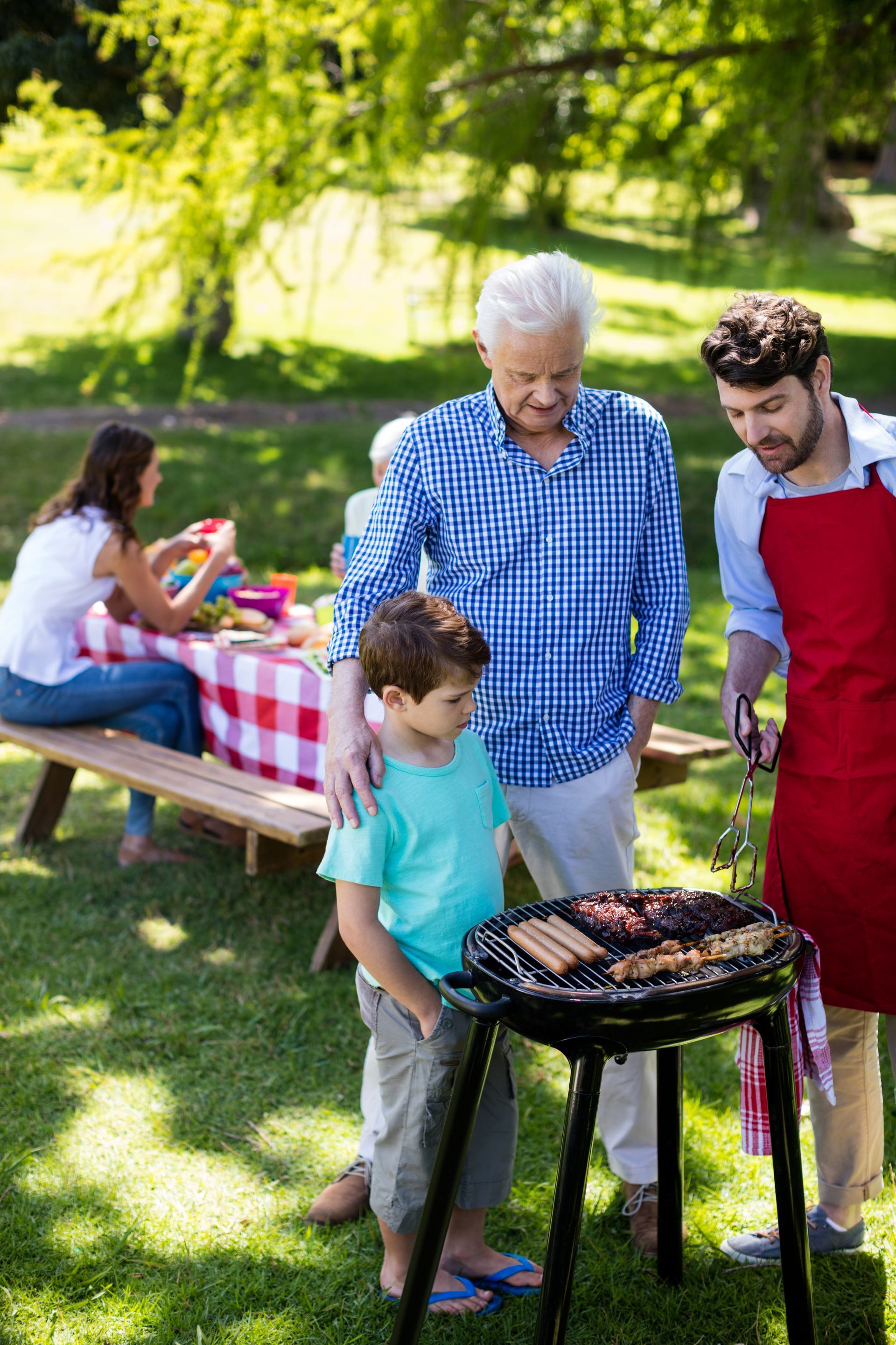 Family grilling outdoors in a sunny park, with two people tending a barbecue near a picnic table.