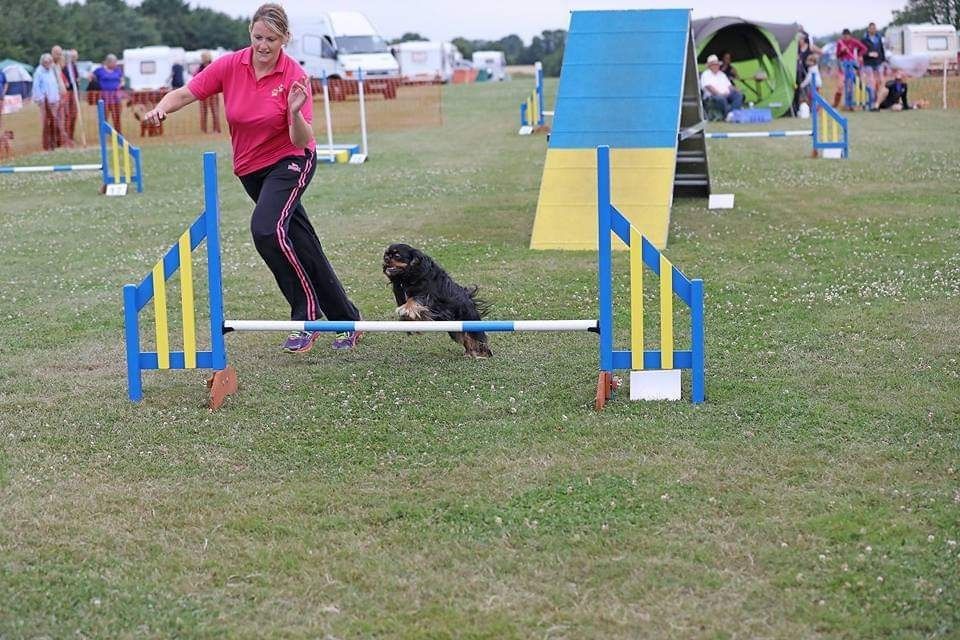 Woman guiding dog over hurdle in an outdoor agility course