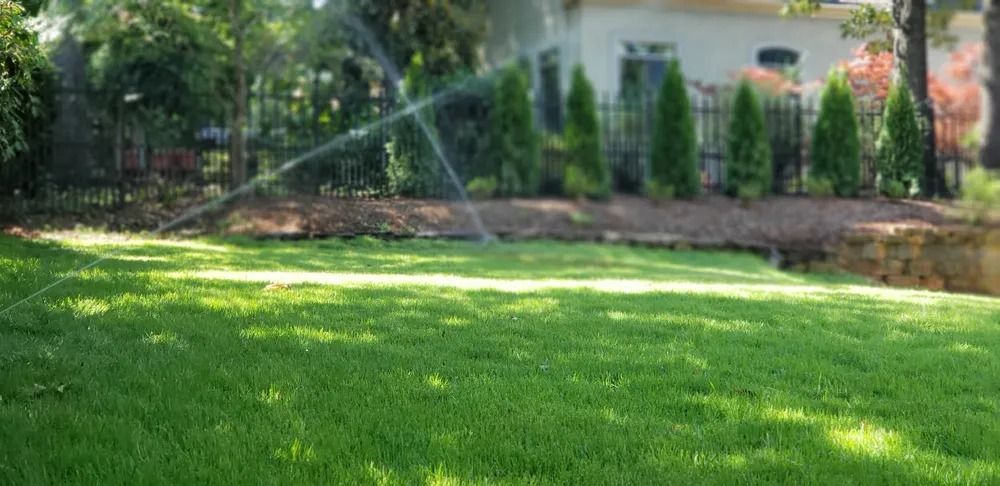 Green lawn being watered with a sprinkler, trees and a house in the background.