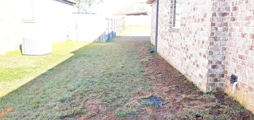Grassy yard next to a brick wall. The grass appears to be wet and the sky is bright.
