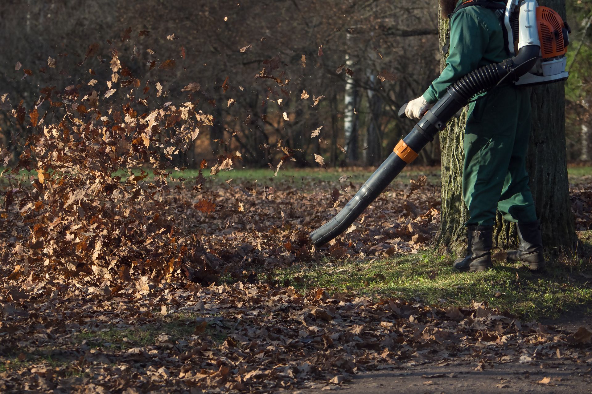 Seasonal Yard Clean-Up Services | HudCo Landscaping and Irrigation ...