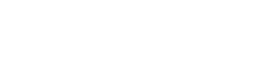 Logo Footer