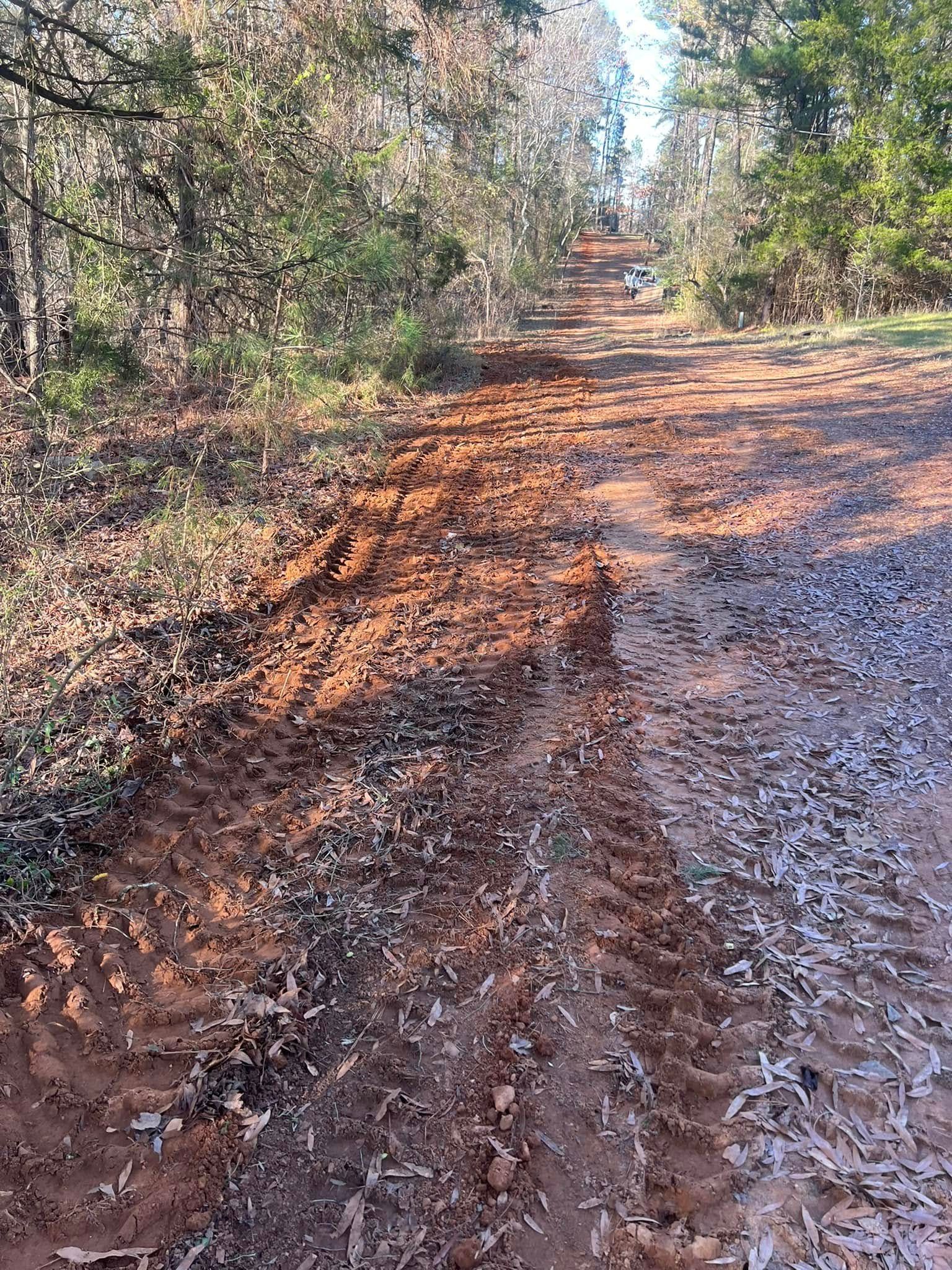 Dirt road with deep tire tracks through a wooded area, sunlight filtering through trees.