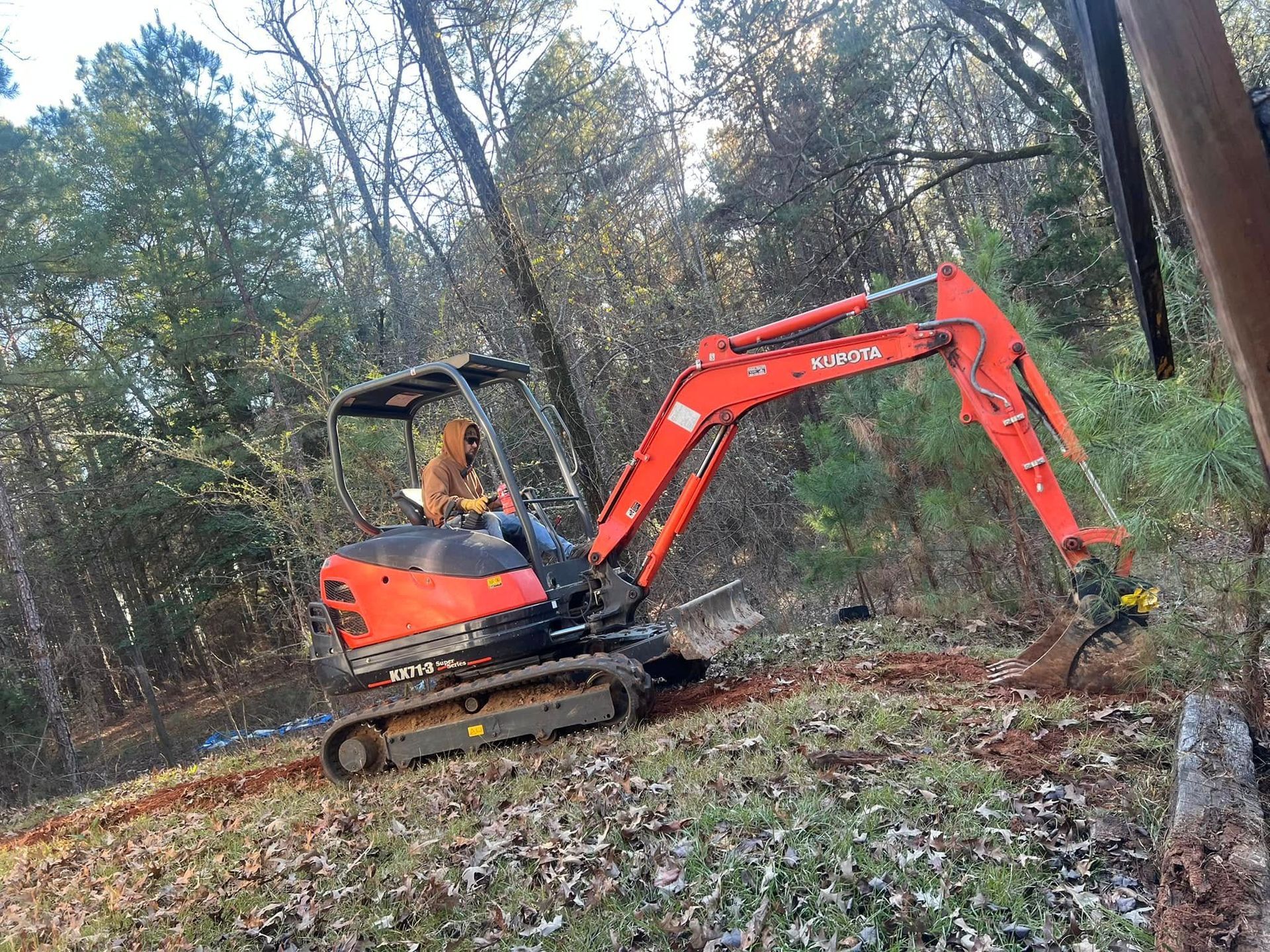 Orange excavator on tracks clearing a wooded area with its arm extended toward the ground.