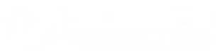 Blank white horizontal rectangle with a thin dark border on the left and right edges.