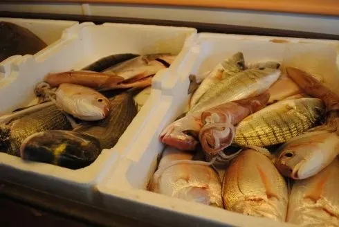 Pesce e frutti di mare freschi esposti sul ghiaccio in vassoi bianchi da mercato.