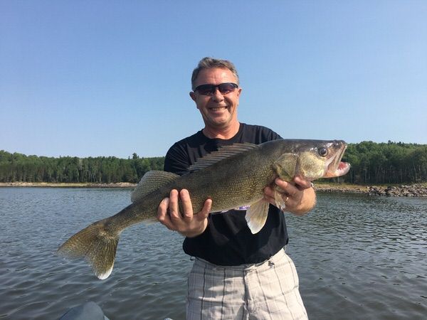 A man is holding a large walleye fish in front of a lake.