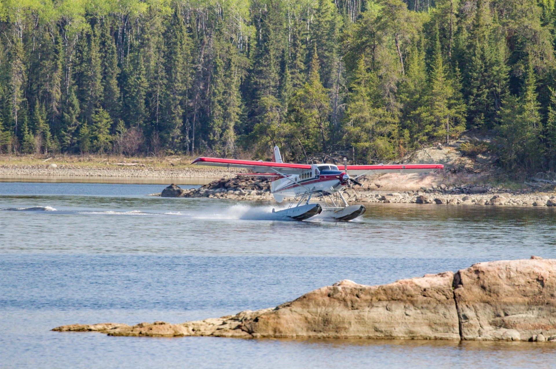 A float plane is taking off from the shore of a lake.