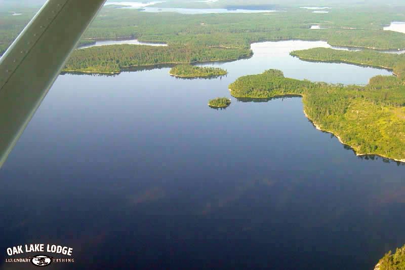An aerial view of the dan lake lodge