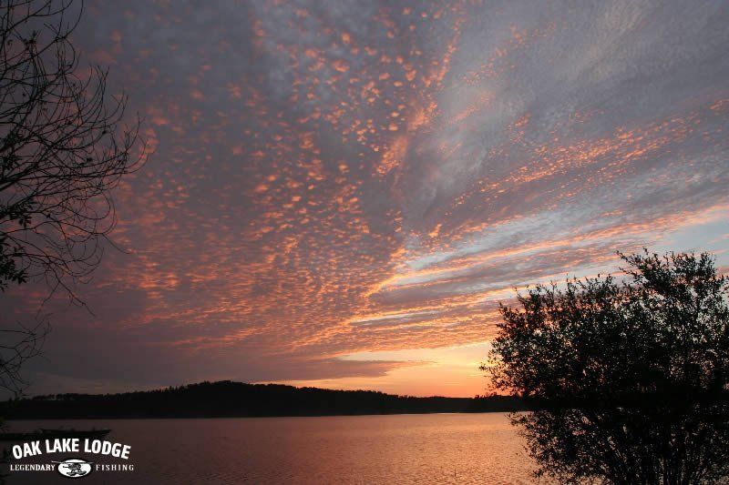 A sunset over a lake with a tree in the foreground.