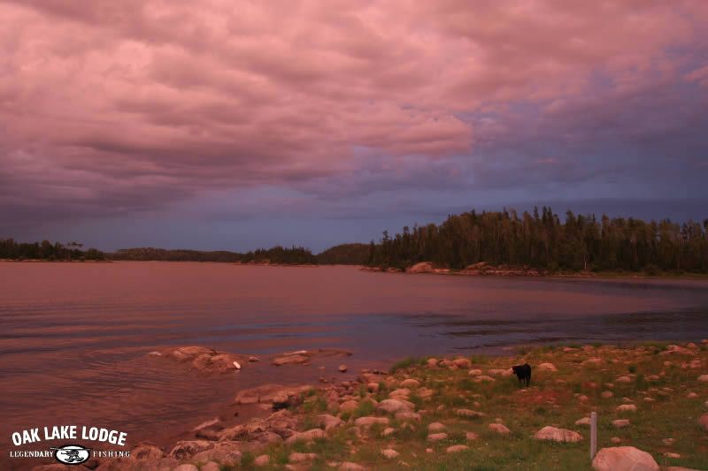 A picture of a lake with pink clouds in the sky