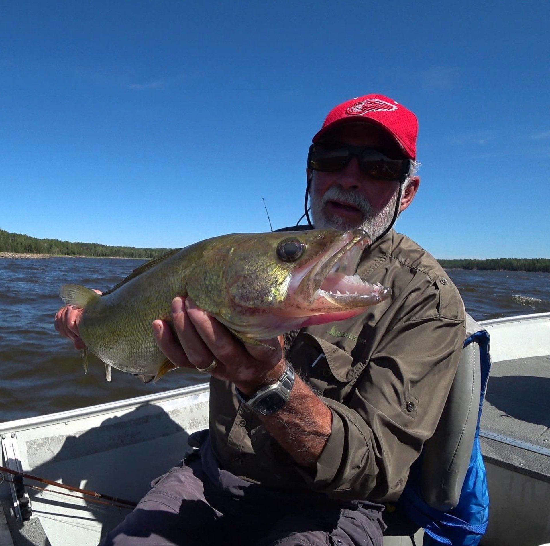 Walleye showing a toothy grin. Held up by our guest.