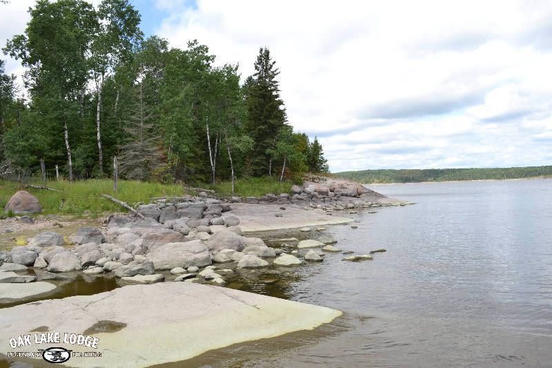 A large body of water surrounded by trees and rocks