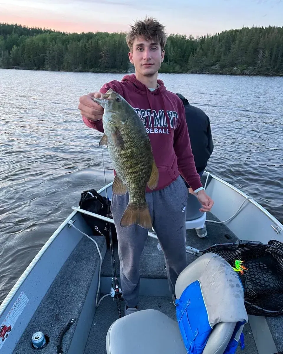 smallmouth bass