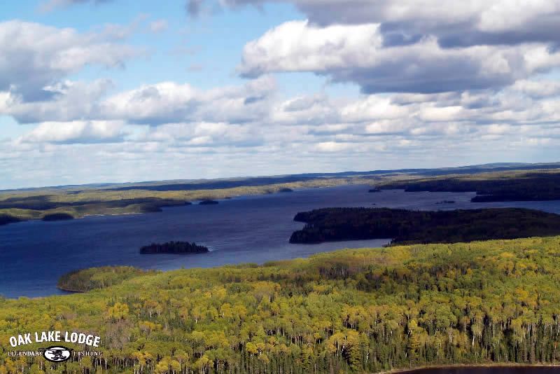 An aerial view of a lake surrounded by trees
