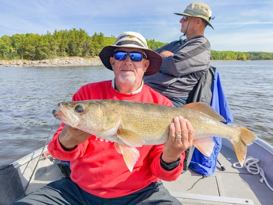 walleye fish.