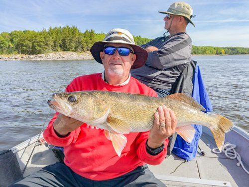 Walleye fish caught at Oak Lake Lodge, Ontario.