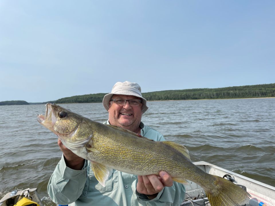 walleye fish caught at Oak Lake.