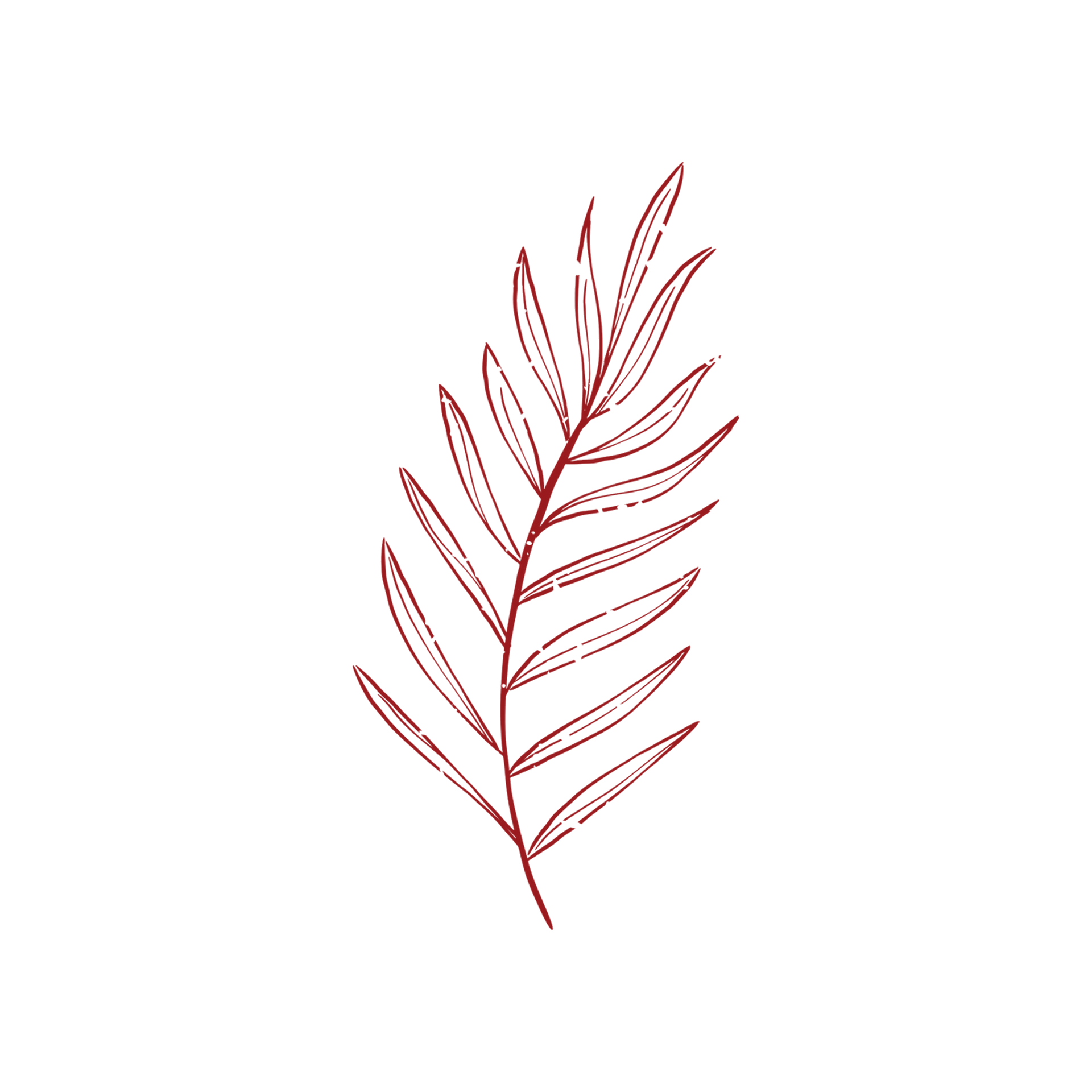 Minimal line drawing of delicate pale green leaves on a white background