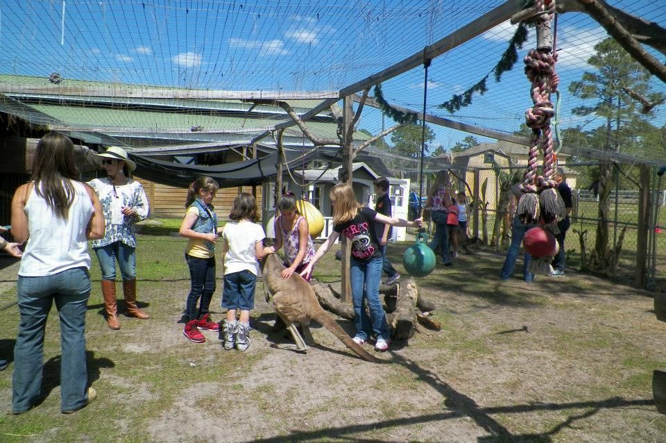 Group Visits in Orlando, FL