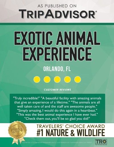 Exotic Animal Experience in the Orlando, FL Exotic Animal Experience in the Orlando, FL