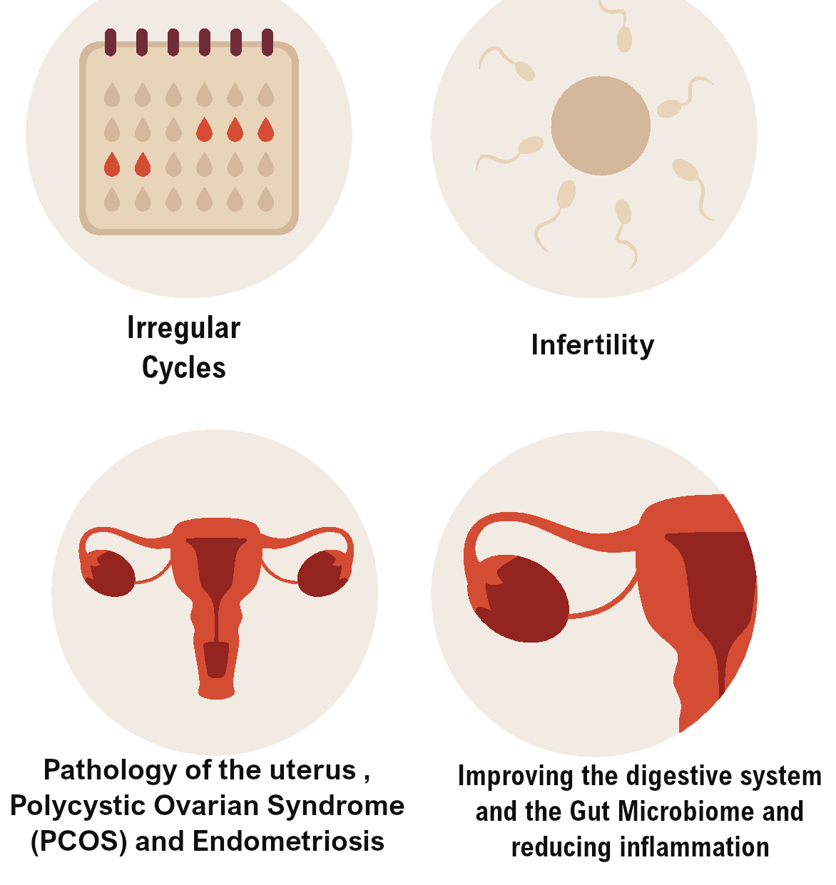 Acupuncture enhancing fertility