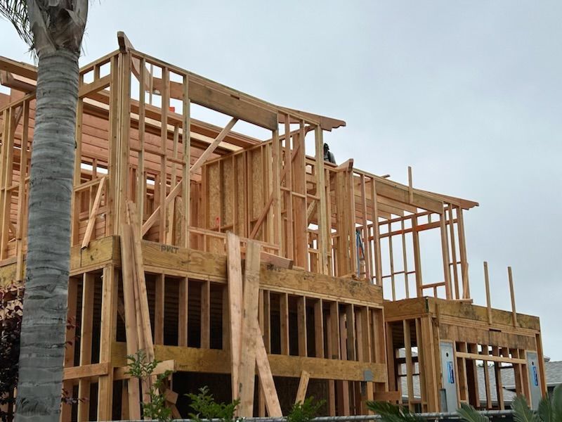 Wood-framed house under construction with exposed beams and a palm tree in front