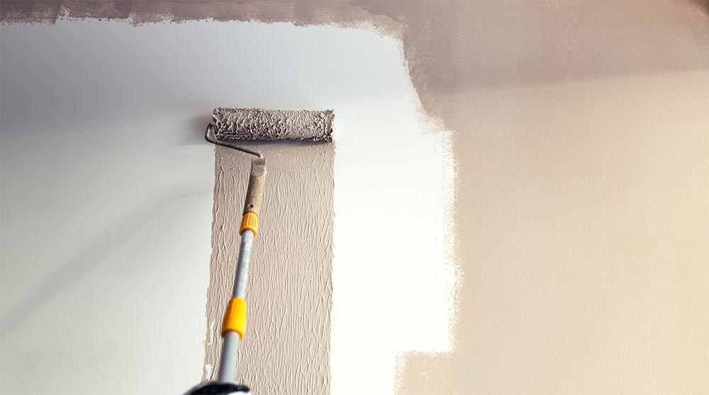 Painter Handyman In Mackay QLD Australia 