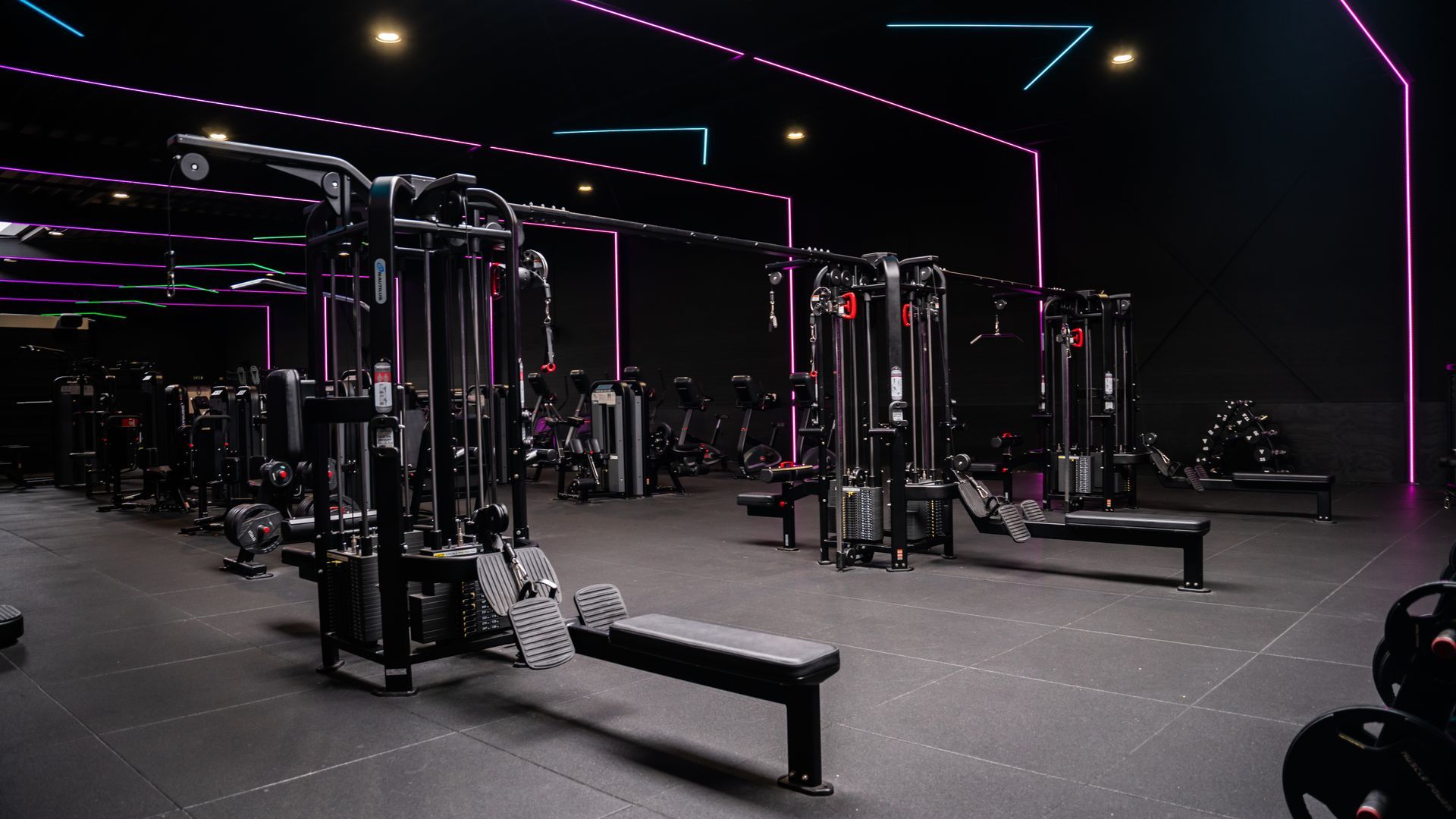 Interieur van een sportschool met rijen gewichtsapparaten en een donkere vloer en muren; roze en blauwe neonverlichting.