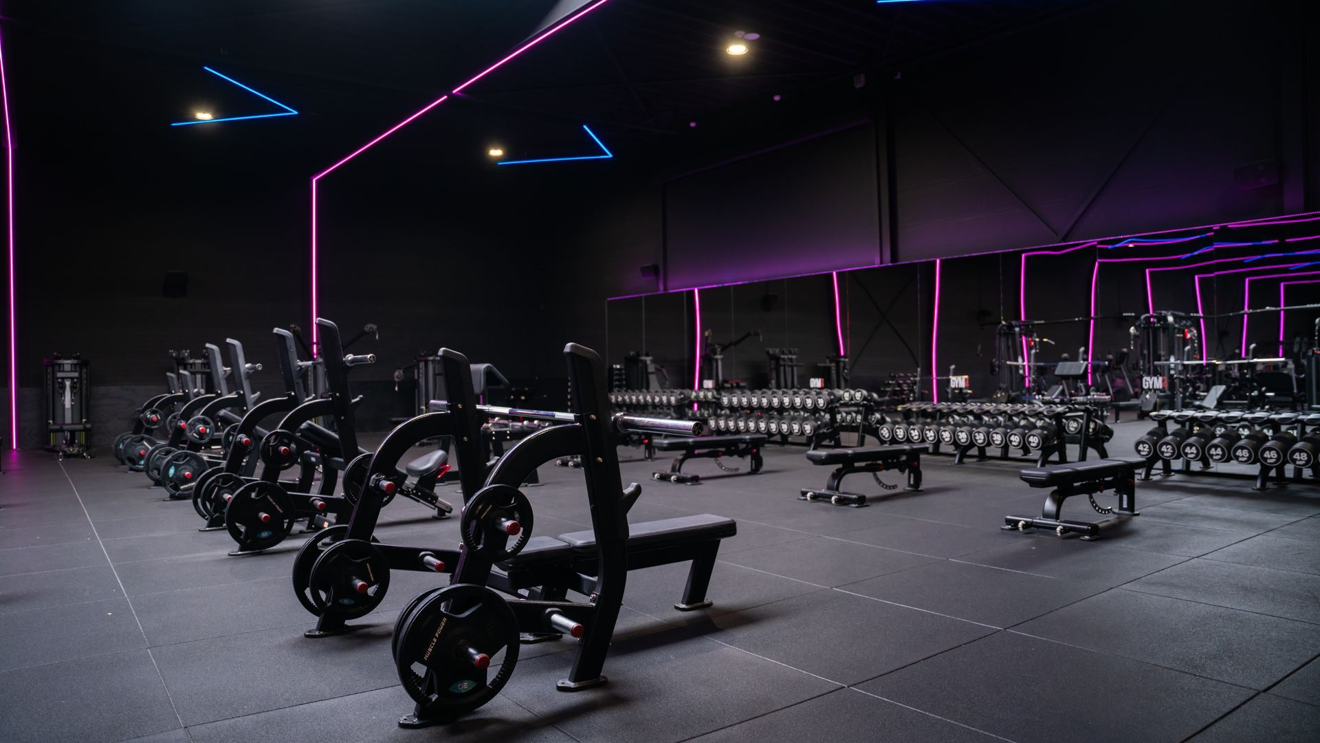 Interieur van een sportschool met rijen gewichtsbanken en fitnessapparatuur, verlicht door paarse en blauwe lampen.