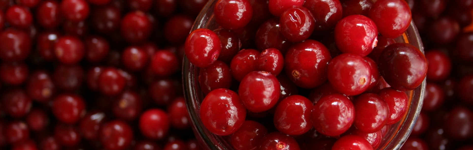 Cranberries