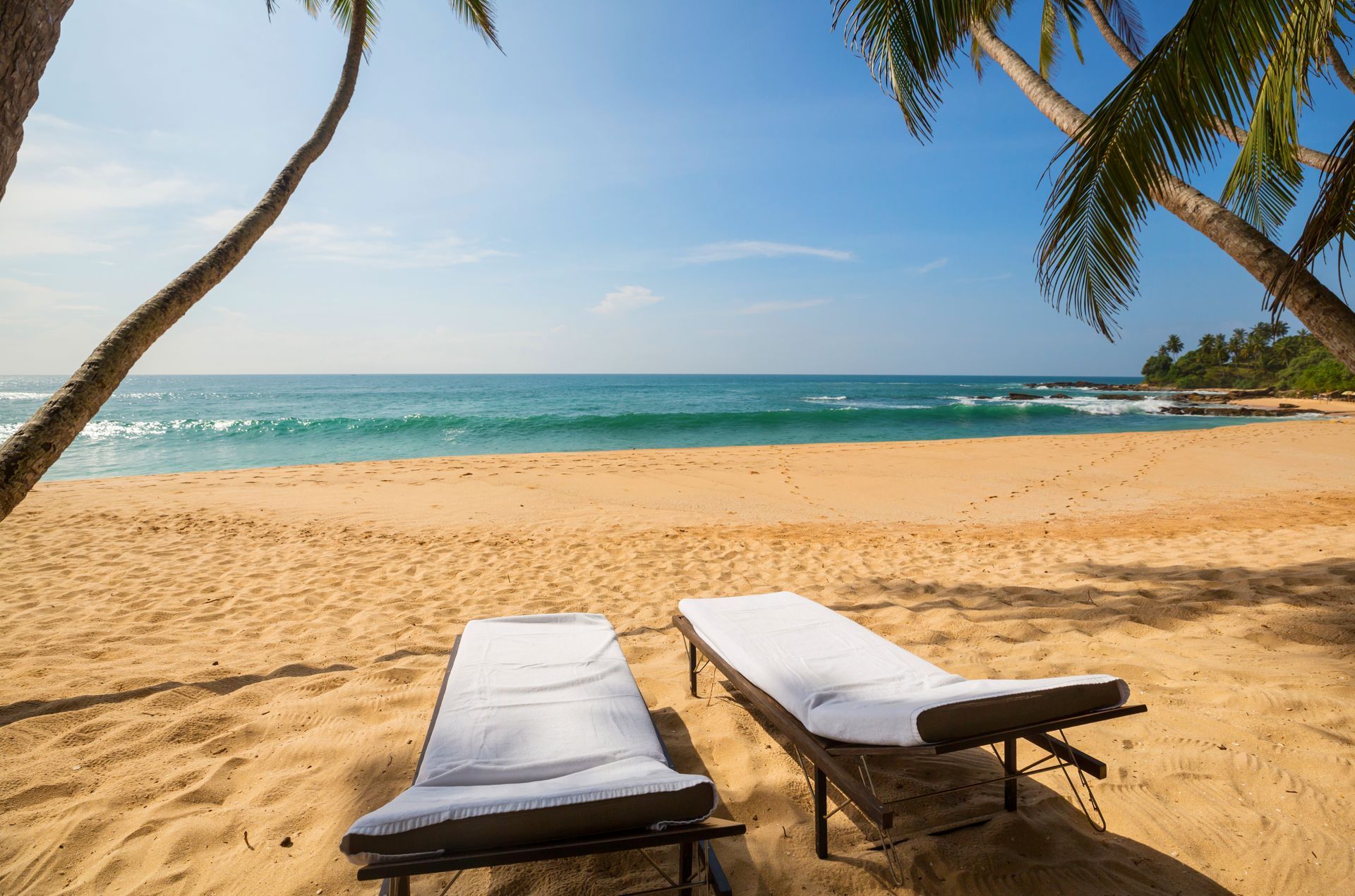 Beachfront lounge chairs under palm trees facing a turquoise ocean and blue sky