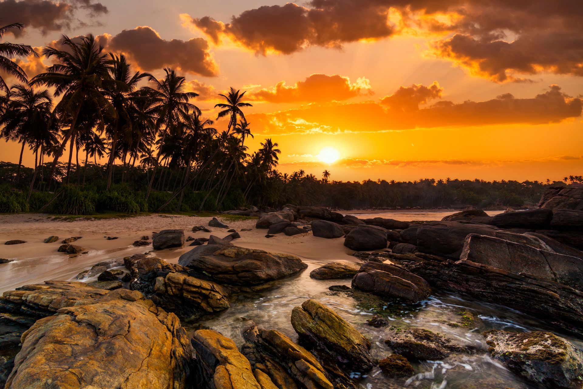 Sunset over a tropical beach with palm trees, rocks, and golden reflections on the shore