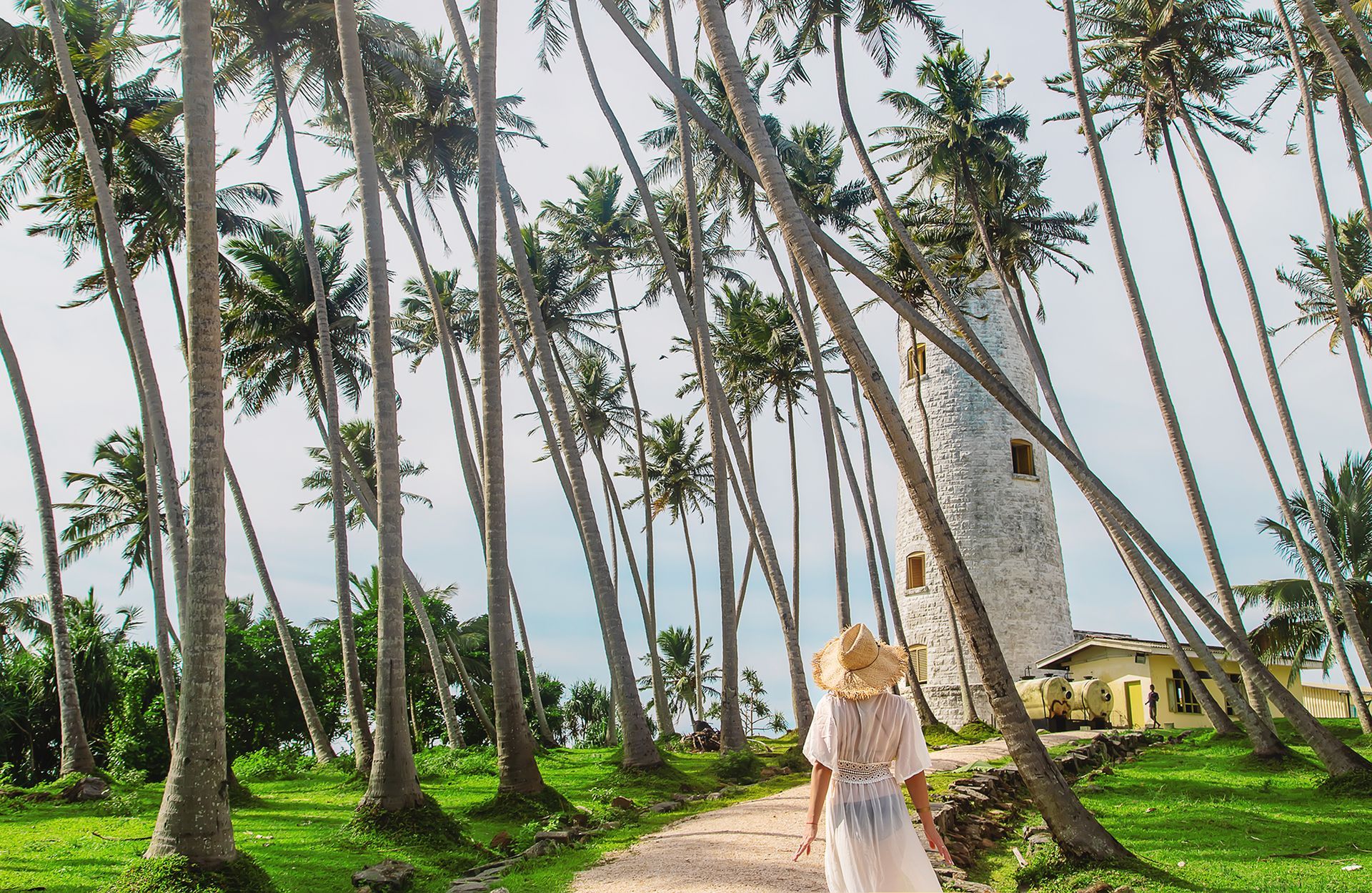 Person in a straw hat walking on a path through tall palm trees in a tropical grove