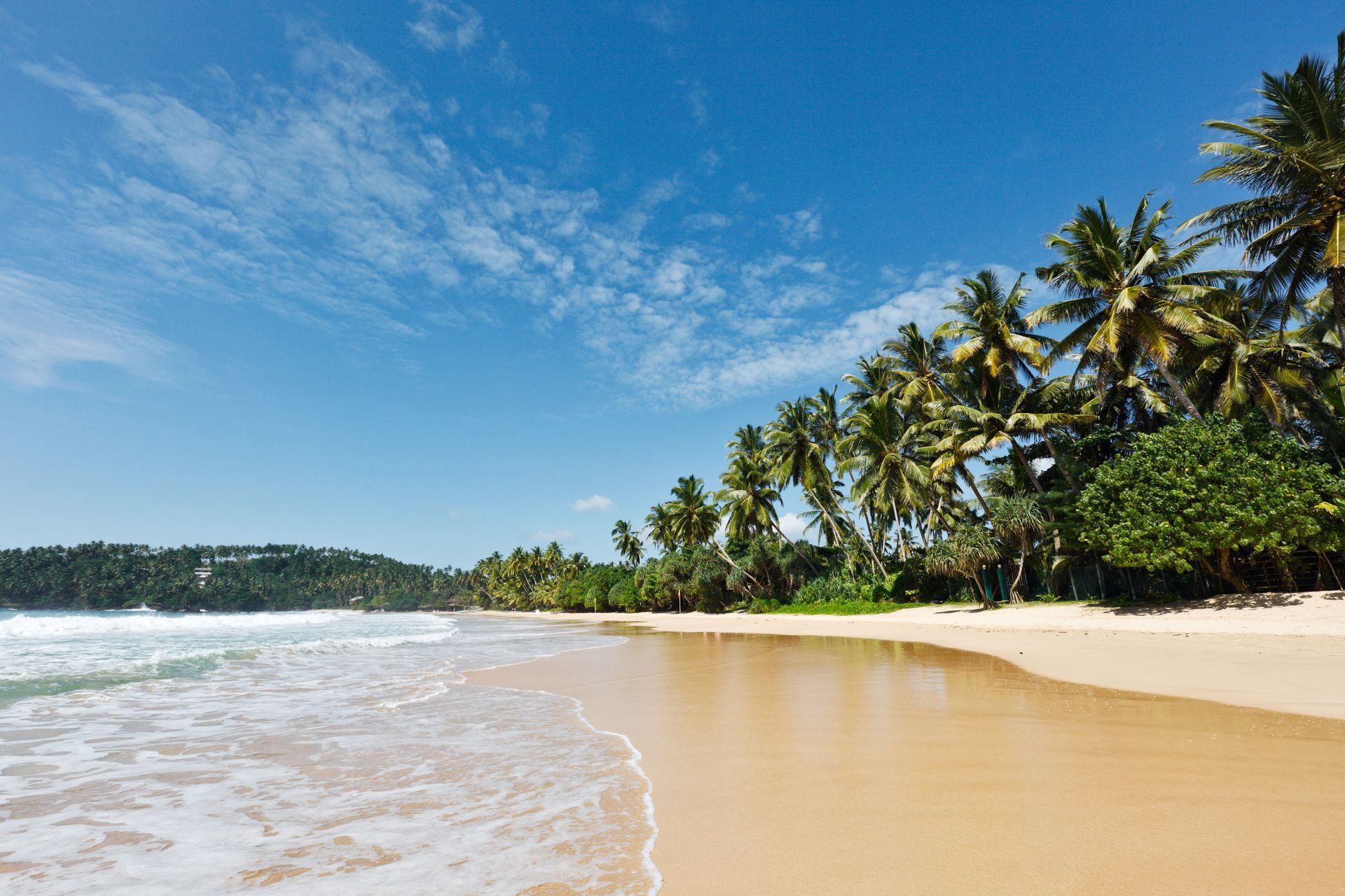 Sunny tropical beach with palm trees, turquoise water, and white sand under a blue sky