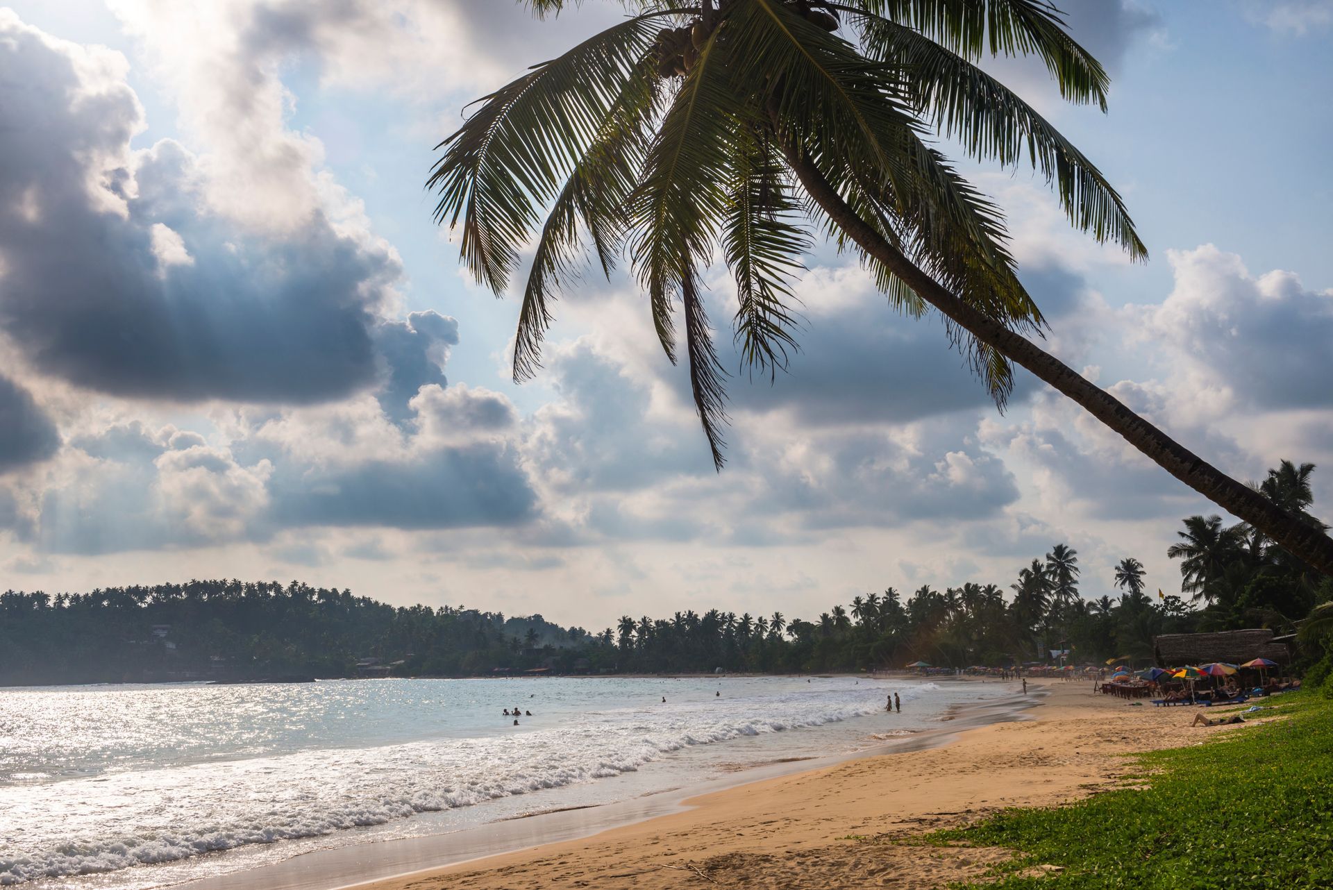 Palm-fringed tropical beach with calm waves, cloudy sky, and a leaning coconut tree over the shore