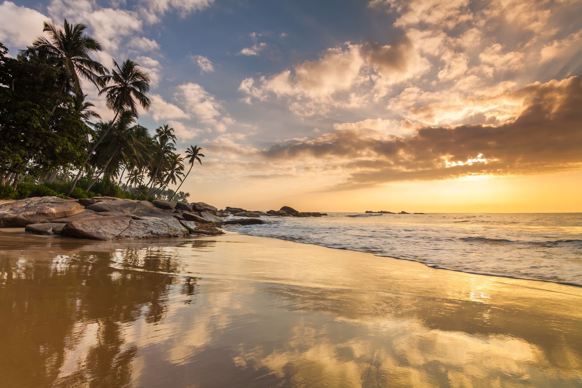 Tropical beach at sunset with palm trees, calm waves, and golden reflections on wet sand