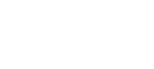 Rebuild Wise logo