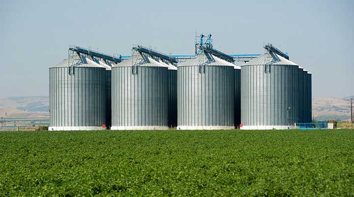 PLAGATROL SA DE CV - Comercialización de insecticidas