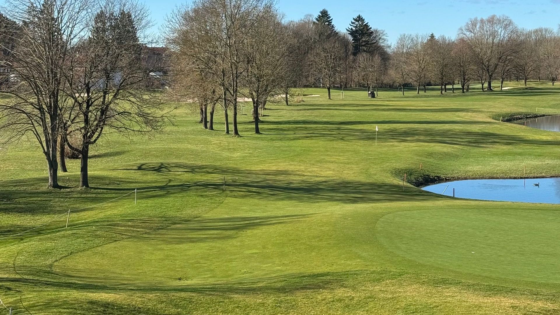 Blick auf das Golfplatz-Panorama von der Terrasse des Restaurant Platzhirsch, man sieht den See und Bäume