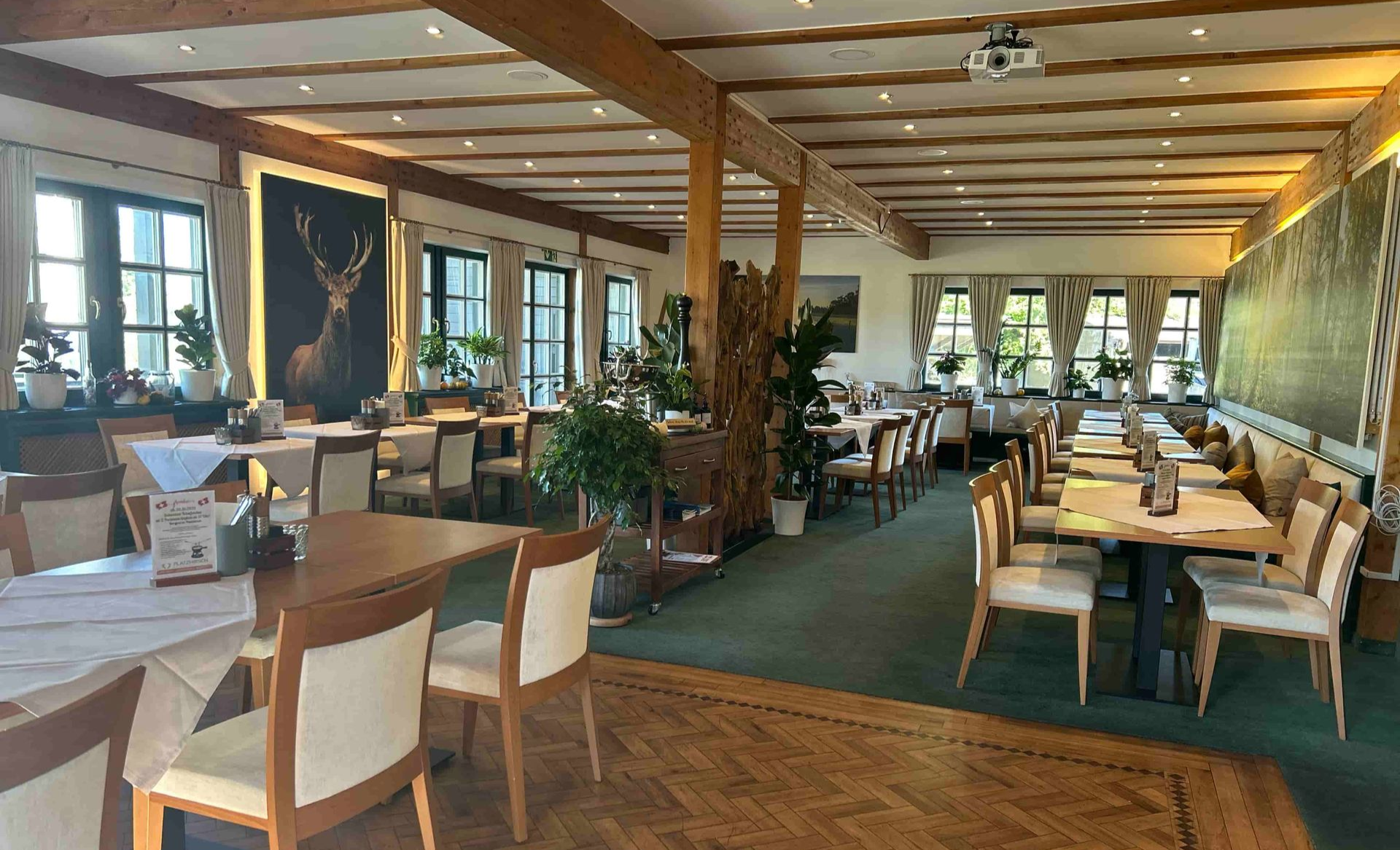 Der Hauptraum des Restaurant Platzhirsch, man sieht Tische und Stühle sowie die Bilder an den Wänden