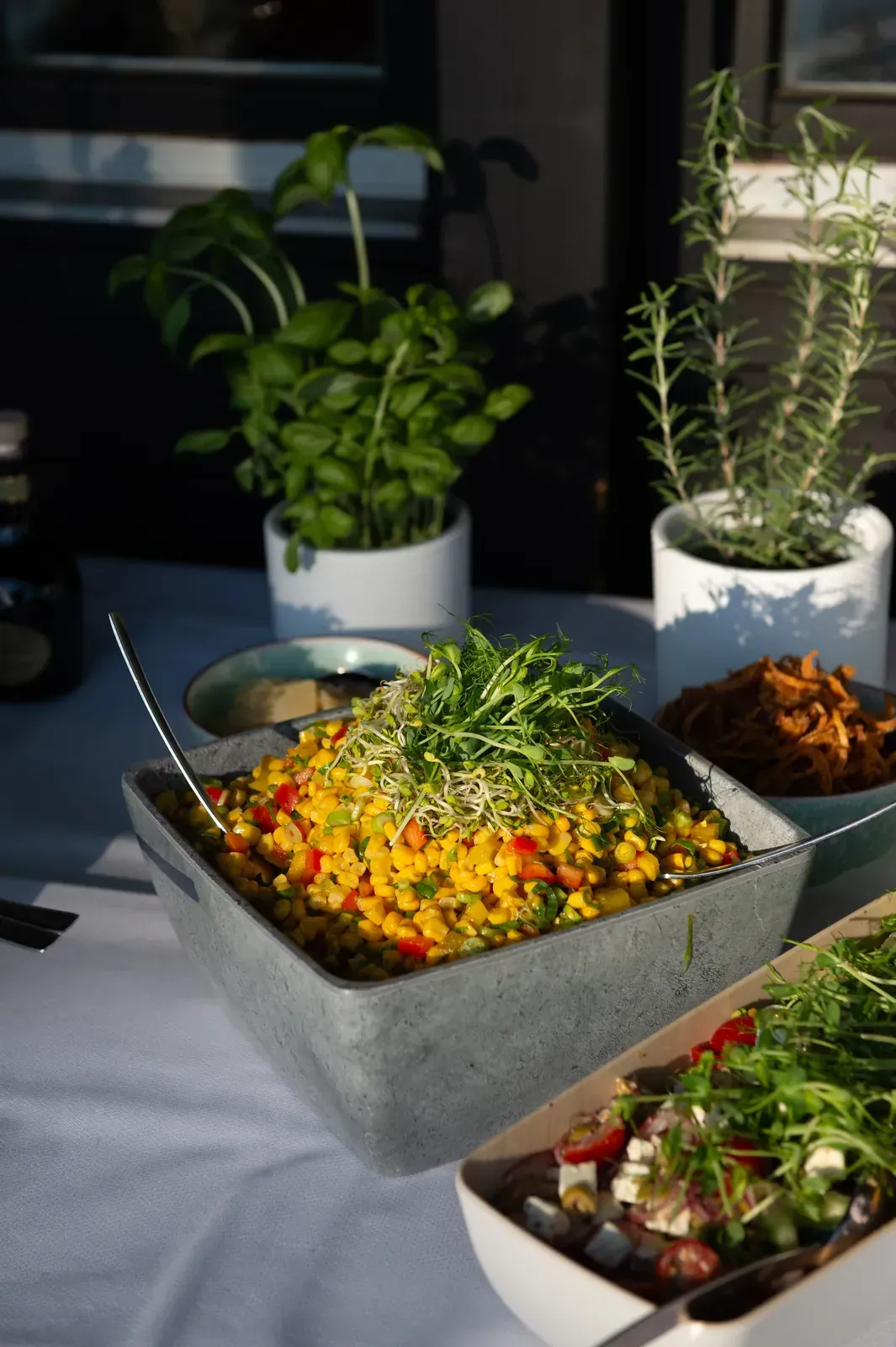 Frischer Maissalat mit Paprika und Sprossen am Salatbuffet