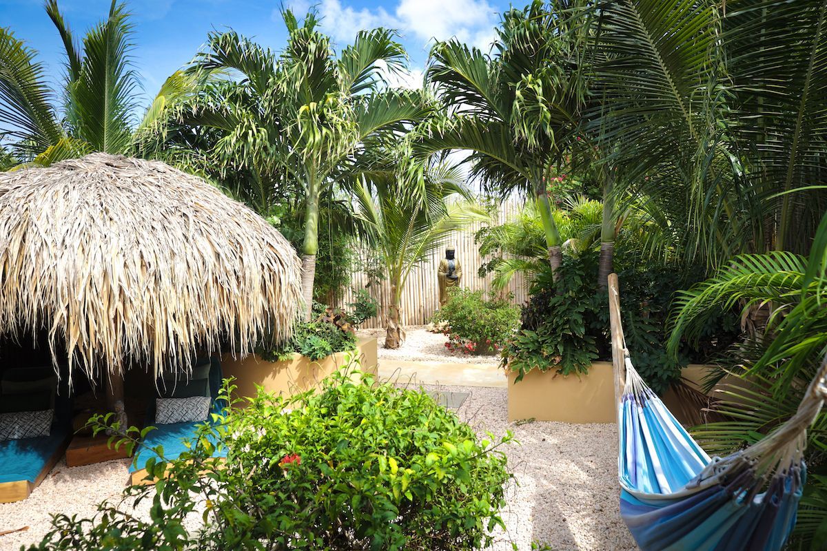 There is a hammock in the middle of the jungle.