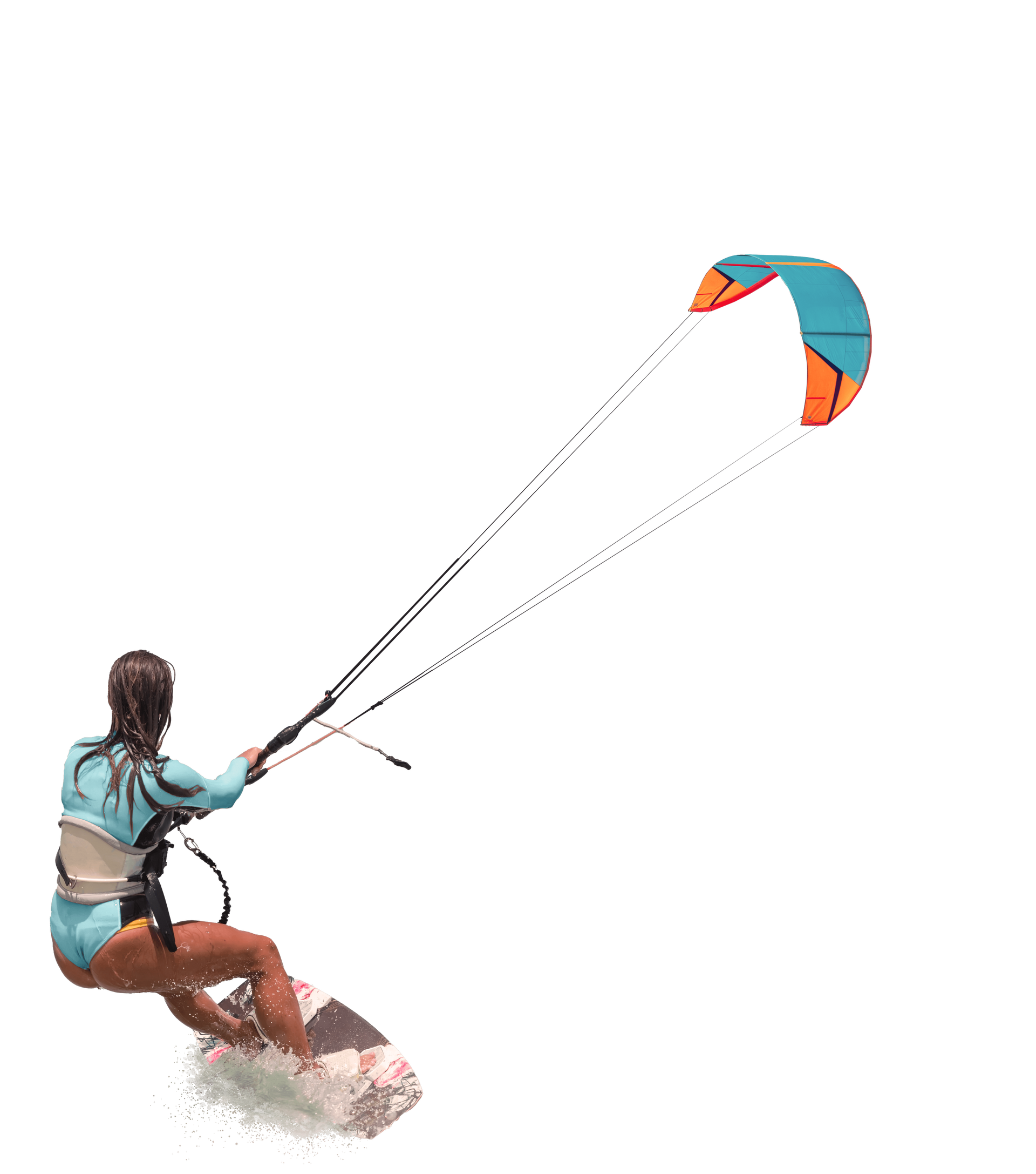 A blue and yellow parrot is flying in the air