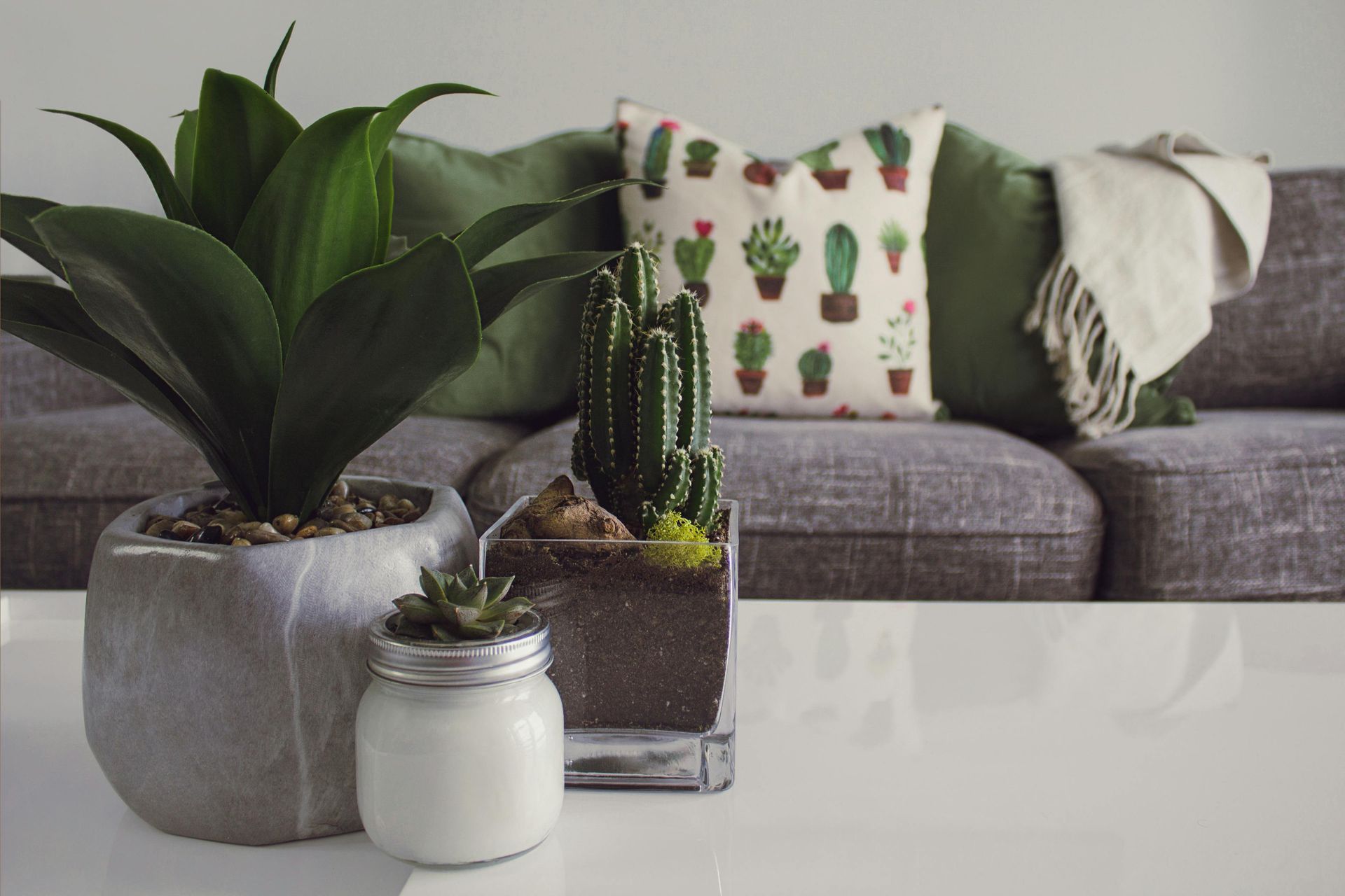 A living room with a couch and a table with potted plants and a candle.