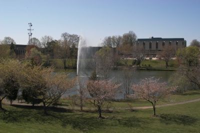 annandalechamber