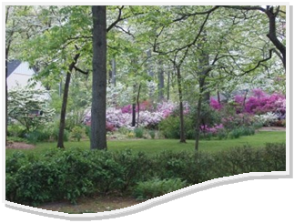 annandalechamber