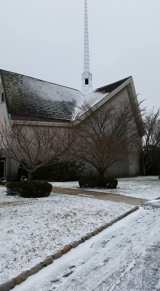 roofing contractor