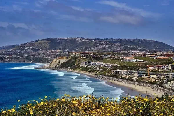 A view of a beach with yellow flowers in the foreground and a city in the background.