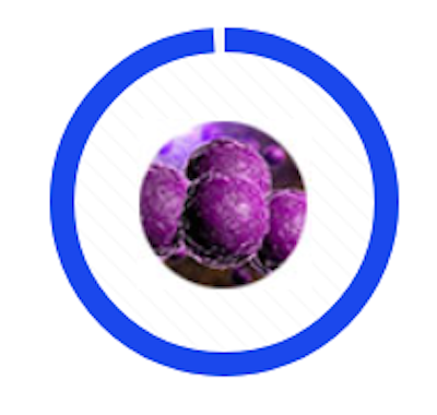 Blue circular progress ring around a purple abstract sphere icon on a white background